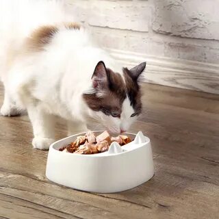 Миска для корма кошек