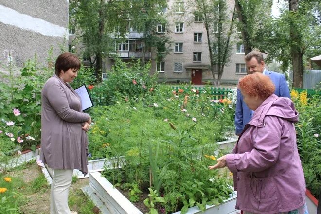 Цветущий город череповец 2025. Цветущий город череповец 2025
