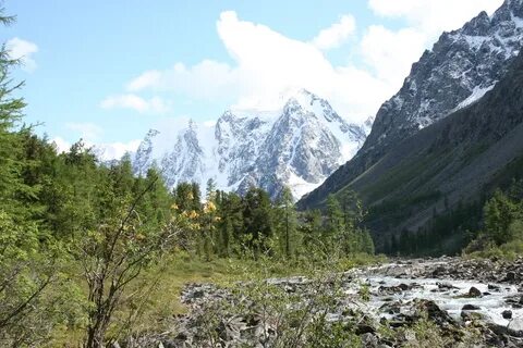 Алтай ранепа
