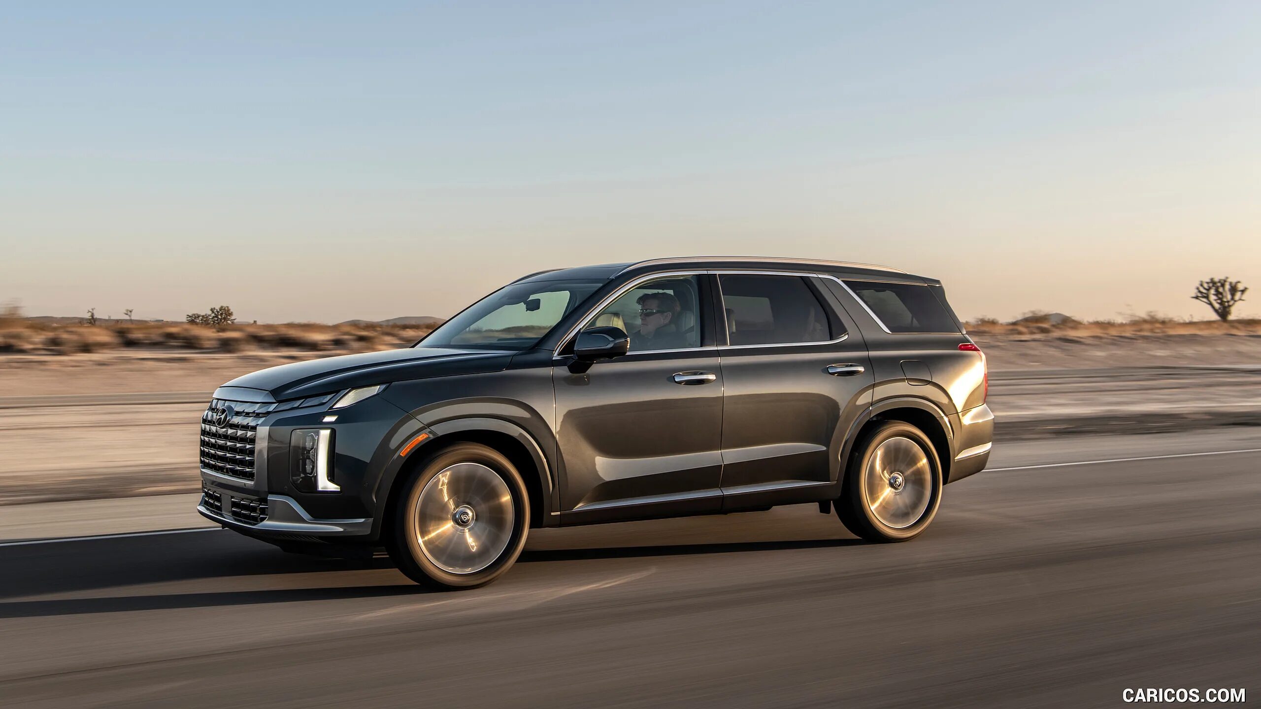 Hyundai palisade 2021. Hyundai palisade 2024. Хендай палисад 2020. Hyundai palisade 2022. Палисад 2023.