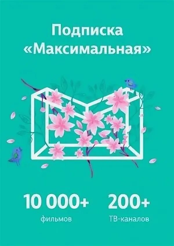 Подписка megogo максимальная на 12 месяцев. Megogo максимальная. Megogo подписка. Megogo максимальная. Кинотеатр мегого.