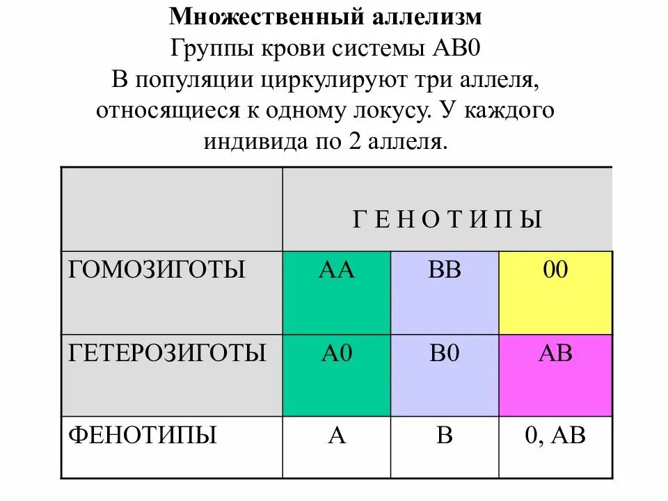 Второй фенотип группы крови. Множественный аллелизм. Наследование групп крови и резус- фактора.. Наследование групп крови системы АВО У человека. Генетика групп крови по системе ав0. Множественные аллели наследование групп крови.