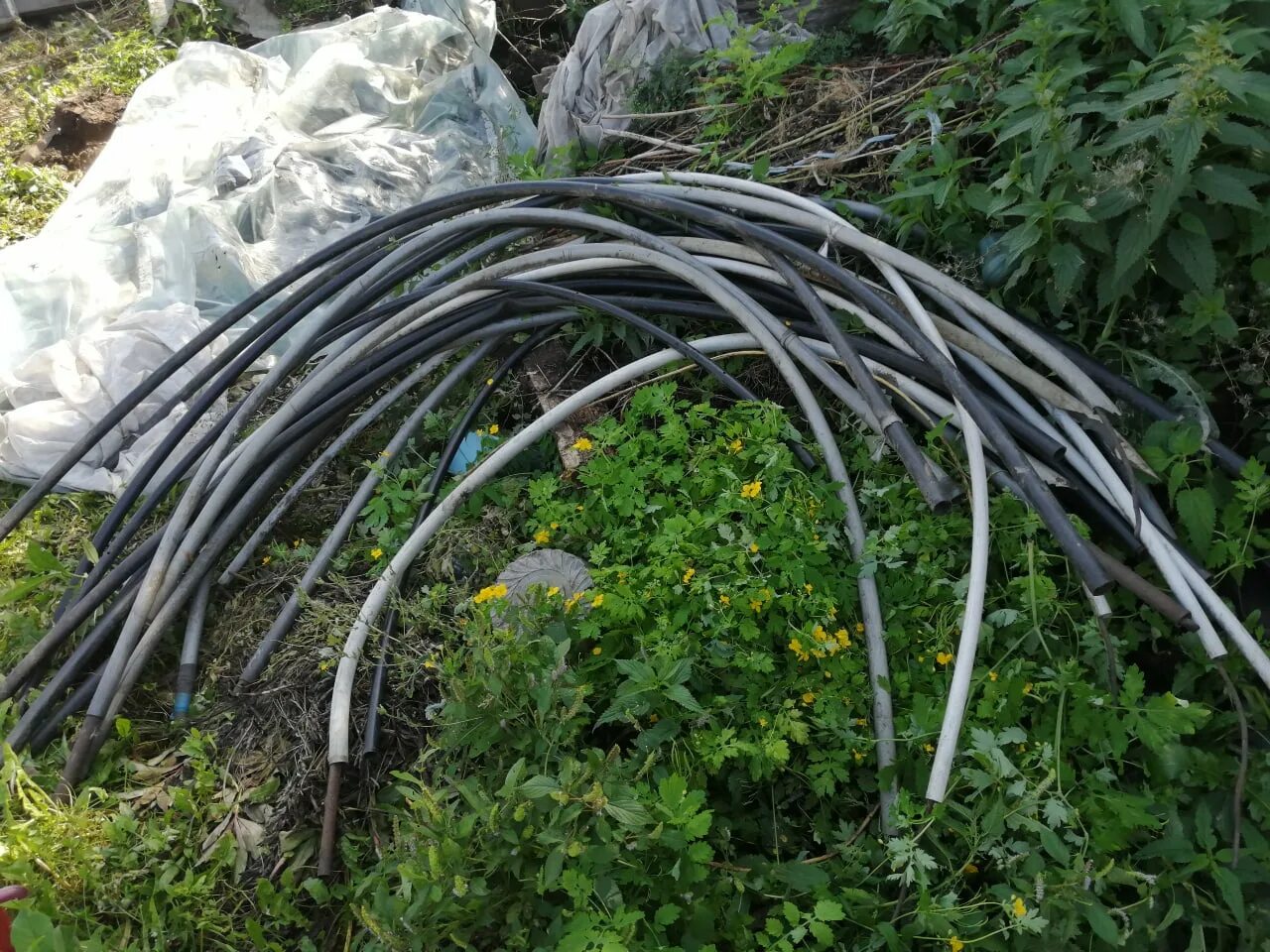 Дуги для парника из стеклопластиковой арматуры. Теплица из арматуры. Дуги для парника из стеклопластиковой арматуры. Дуги из стеклопластиковой арматуры. Дуги из стеклопластиковой арматуры.