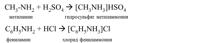 Хлорид метил аммония. Метиламин серная кислота уравнение реакции. Взаимодействие метиламина с серной кислотой. Реакция метиламина с серной кислотой. Метил Амин с серной кислотрй.