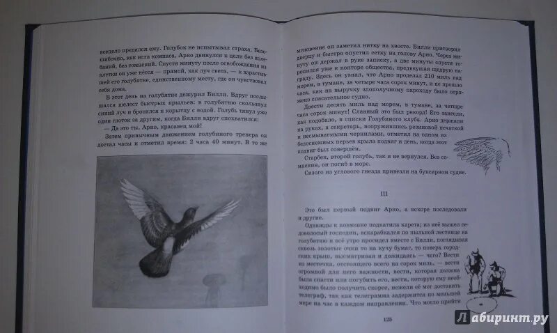Рассказы о животных сетон томпсон сколько страниц. Рассказы о животных сетон томпсон сколько страниц
