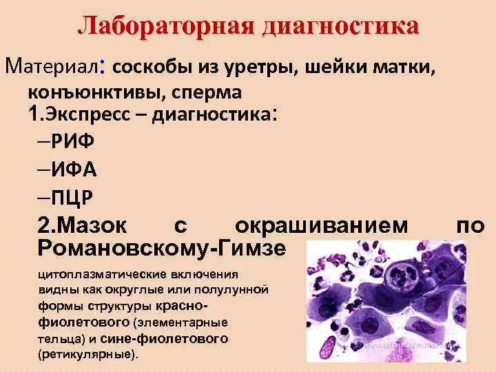 Хламидии причины. Хламидии лабораторная диагностика. Метод диагностики хламидии. Схема лабораторной диагностики хламидиоза. Метод выявления хламидий.