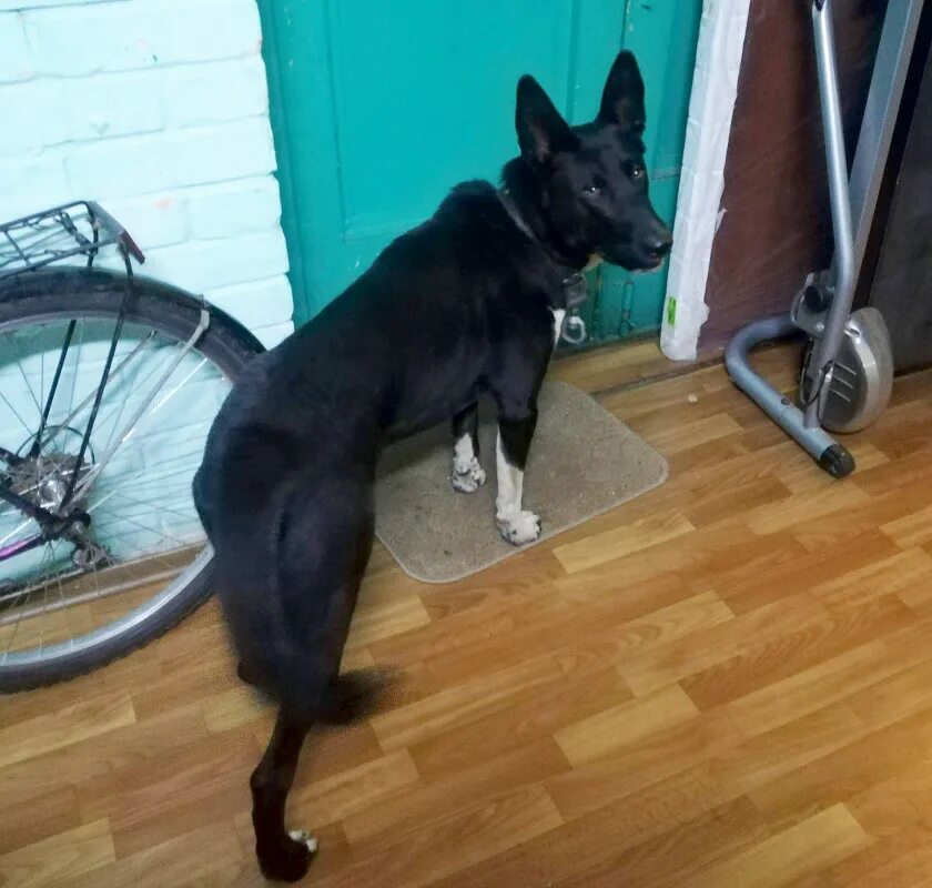 Потерянные вещи бюро. Стол находок. Доска объявлений. Красивое рекламное объявление. Надпись бюро находок.