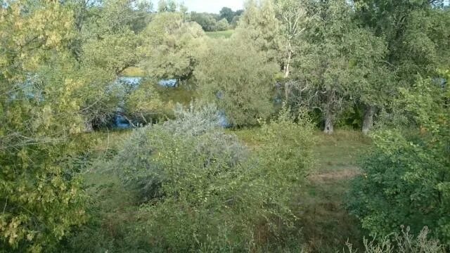 Усть караман энгельсский район. Каштан турбаза энгельс. Усть караман энгельсский. Усть караман энгельсский район саратовская область. Усть караман энгельсский район саратовская область.