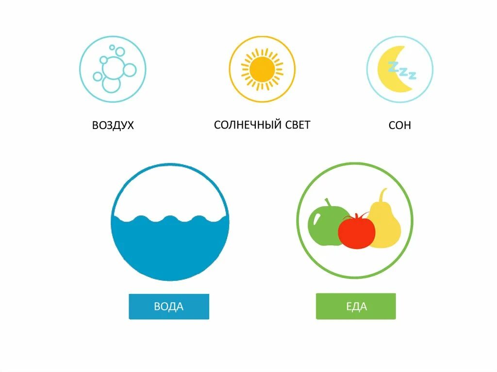 Потребность в воздухе воде пище. Еда вода воздух. Пища вода сон. Солнце вода еда сон. Свет вода воздух питание.