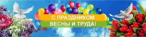 Поделись праздником со всеми таков ведущий