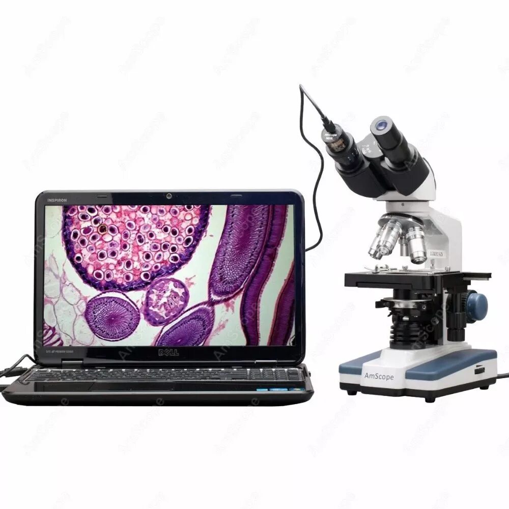 Микроскоп цифровой 1000х. Amscope b120c. микроскоп амскопе 2500. цифровой микроскоп бинокулярный (с камерой). микроскоп бинокулярный с цифровой камерой binocular digital microscope bs-2030bd.