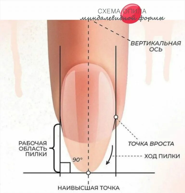 Как пилить миндальную