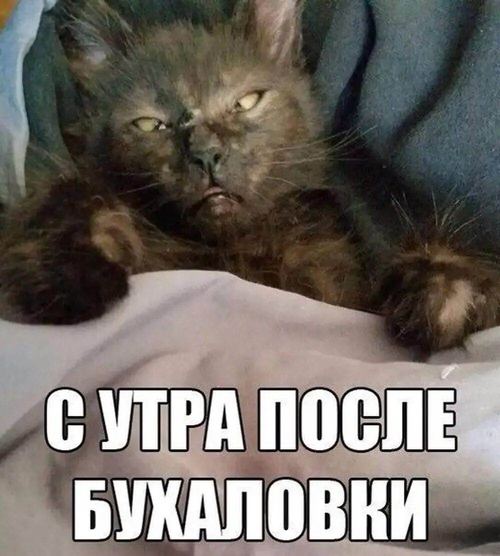 Вчера было вообще