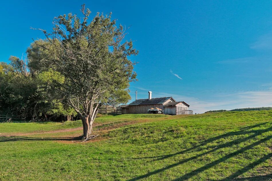 деревушка. деревня экимань витебская область. много деревень. деревня староликеево. живопись деревенский двопетер мерк мкнстед.