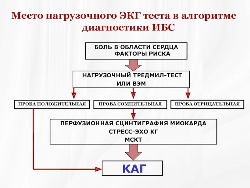 Ишемическая болезнь тест с ответами. Нагрузочные пробы тредмил при ИБС. Нагрузочные тесты при ИБС. Тредмил тест алгоритм. Стресс-тесты для диагностики ишемической болезни сердца..