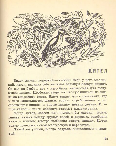 Рассказ пришвина разговор деревьев. Рассказ лесной доктор пришвин. пришвин лесной доктор иллюстрации. пришвин рассказ дятел. рассказа м. пришвина «дятел».