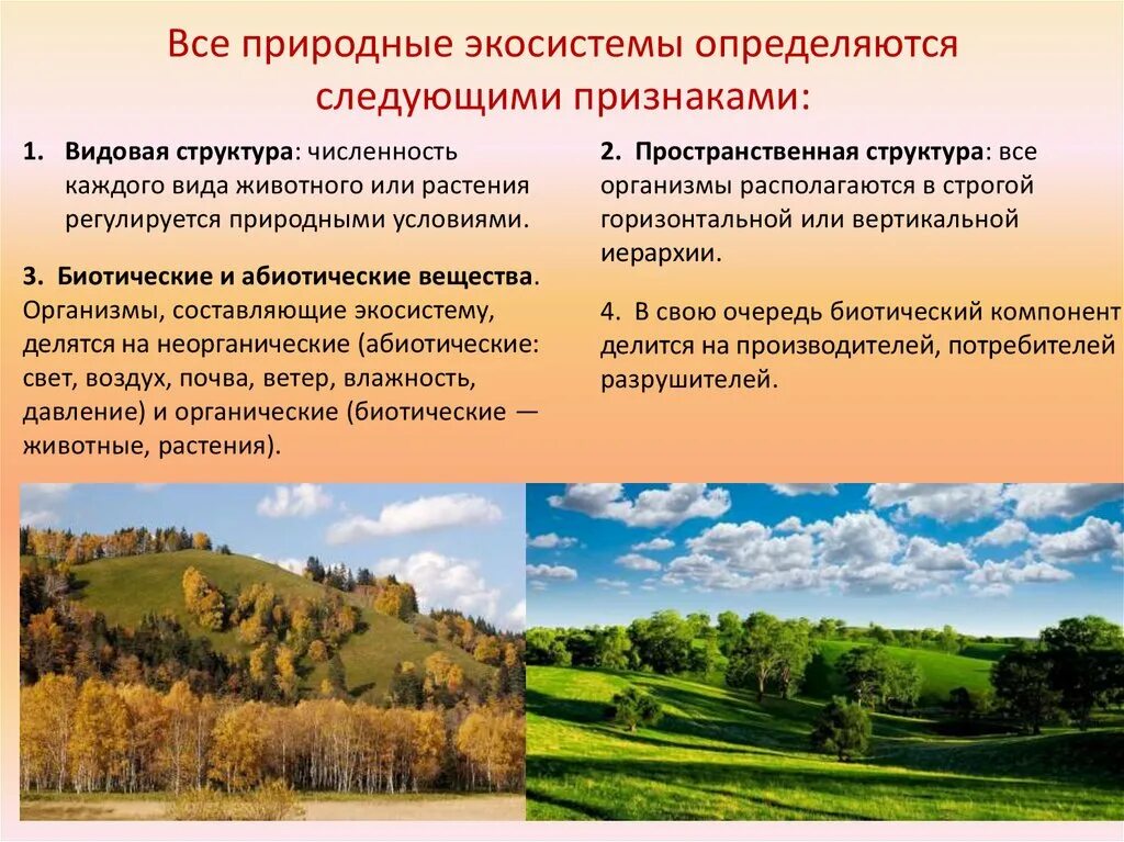 Сравните природную экосистему. Природные экосистемы. Природные и искусственные экосистемы. Видовая структура природной экосистемы. Искусственные экосистемы.