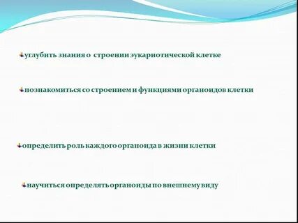 Получают углубленные знания