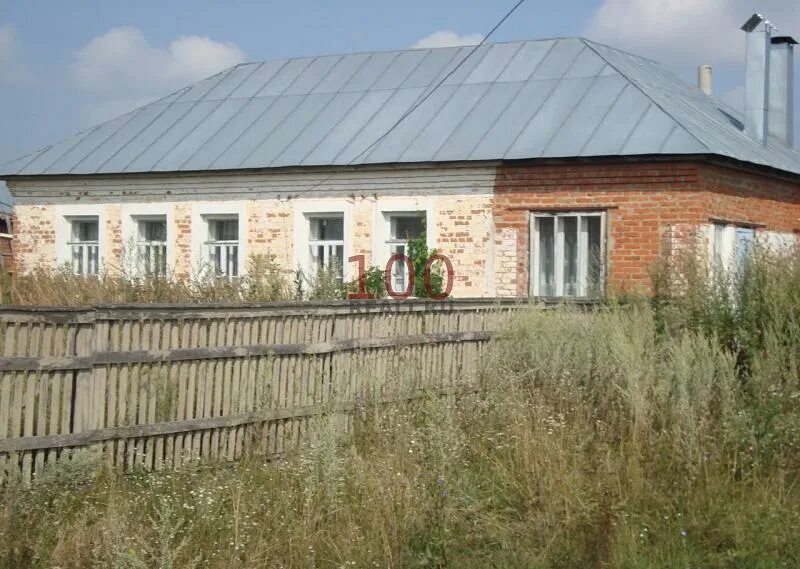 Новое грязное тамбовская область. Деревня сосновка липецкая область. Новое грязное тамбовская область. Село новое грязное тамбовская область. Новое грязное тамбовская область.