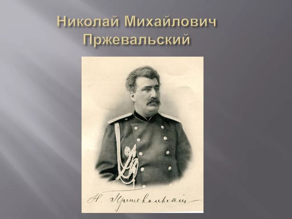 Пржевальский википедия. Пржевальский. Н. Пржевальский. Портрет.