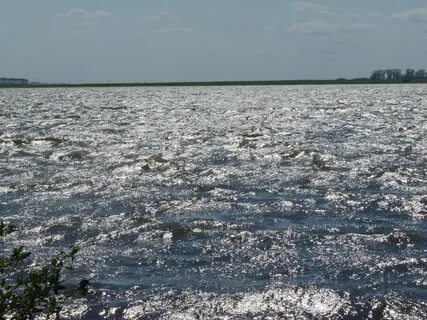 Хорошее новосибирская область