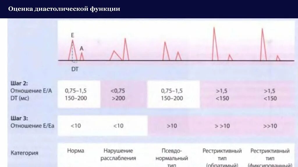 Степени диастолической дисфункции. Оценка диастолической функции лж по ЭХОКГ. Оценка систолической функции. Типы диастолической дисфункции по ЭХОКГ. Оценка диастолической функции.