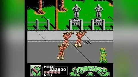 Turtles 3