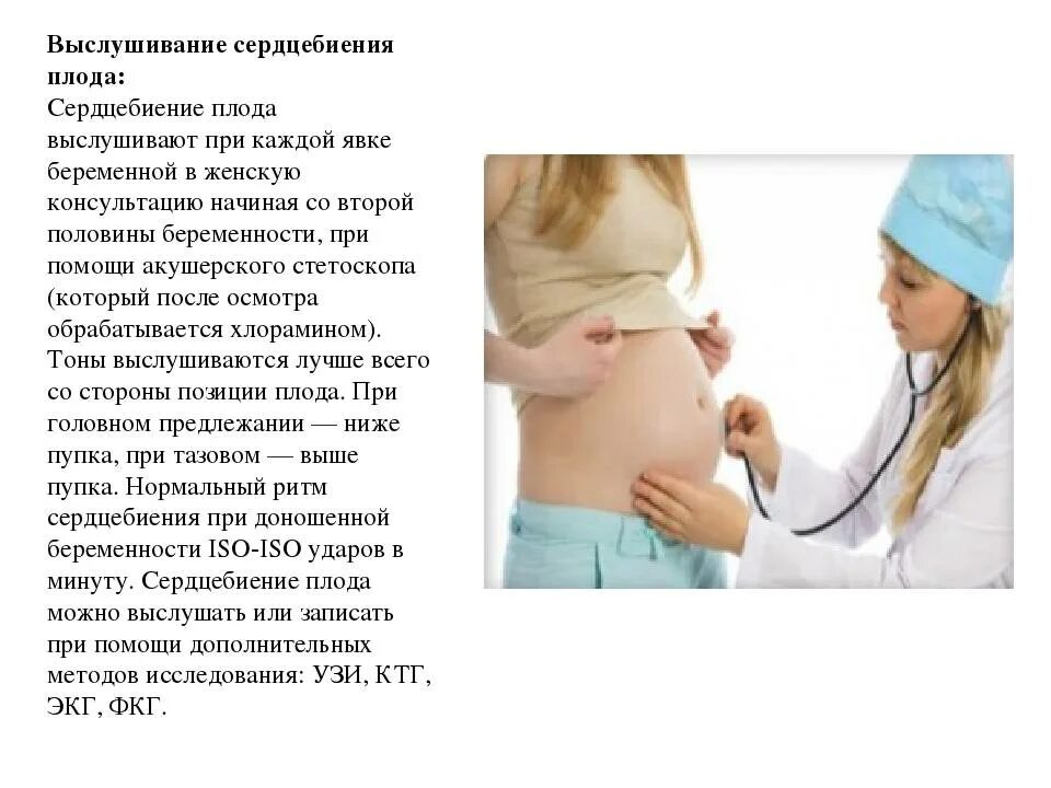 Аускультация выслушивание плода. Норма сердцебиения плода на 8 неделе беременности. Чсс у ребенка на 12 неделе беременности. Аускультация сердцебиения плода. Можно ли руками почувствовать сердцебиение плода.