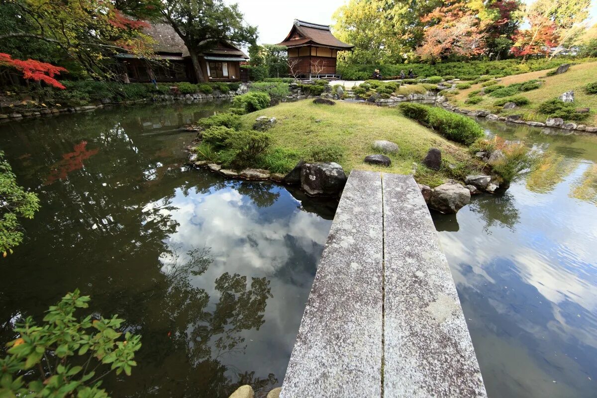 Японский пруд. Водоемы в Японии. Пруд в Японии. Пруд в японском стиле. Японский сад с прудом.