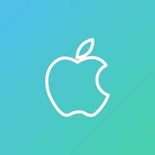 Apple partner