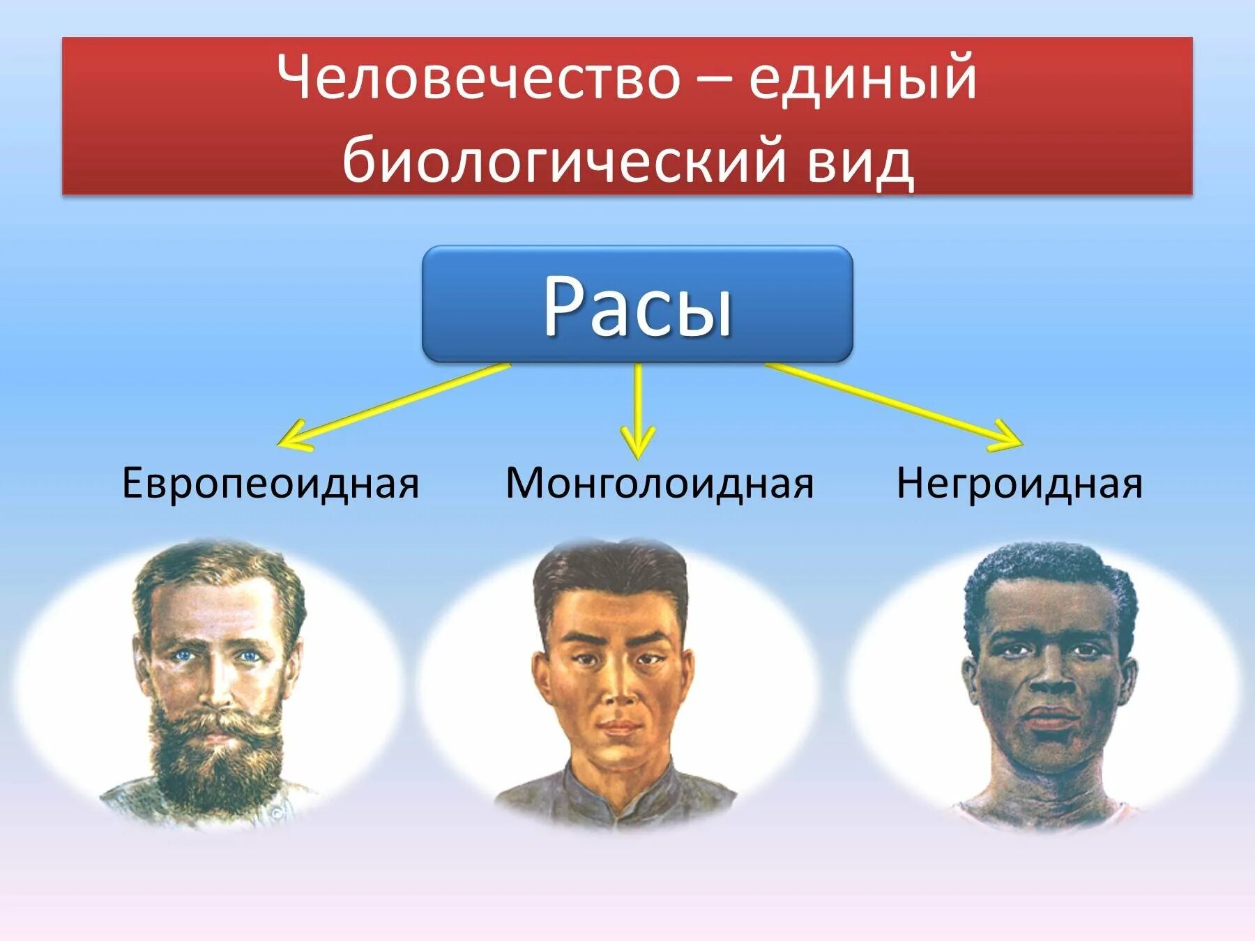 Расы людей. Расы людей на земле. Человеческие расы. Основные расы людей.