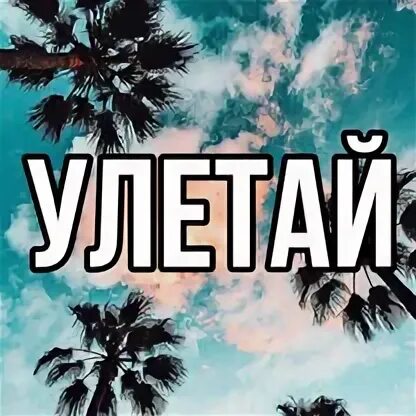 Автору улетай