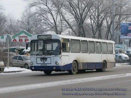 240 автобус спб