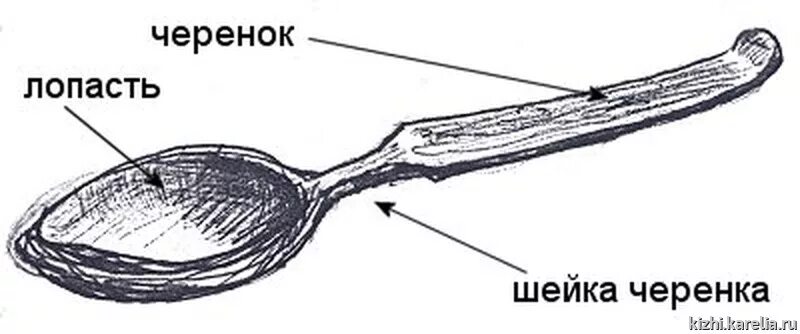 Части ложки столовой. Ложка состоит из. Части ложки названия. Чертёж деревянной ложки. Составные части ложки.