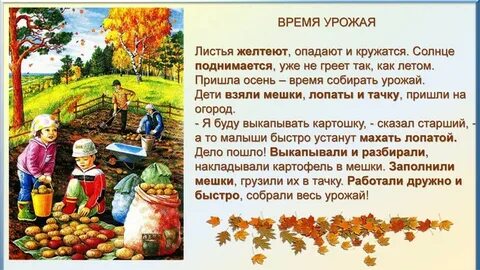 Урожай урожай наше лето провожай сколько сладкого