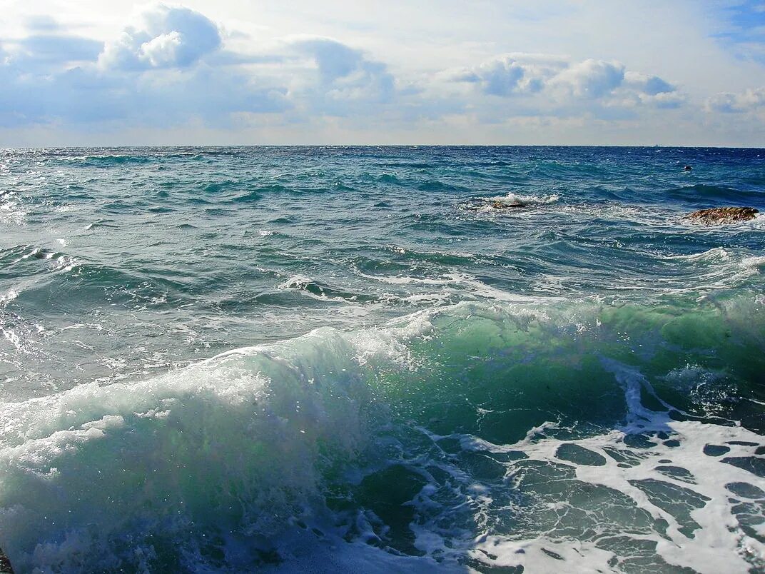 Священное море (Илмари Одд) / Проза.ру