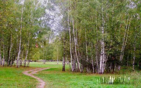 Поселок зеленый городок