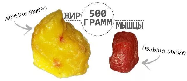 Мышцы выглядят как жир. Килограмм жира и килограмм мышц.