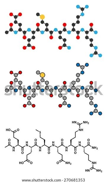 Трипептид лиз цис сер. Уравнение реакции образования пептидной связи. Фрагмент пептид. Фрагмент пептид. Схема пептидной связи биология.