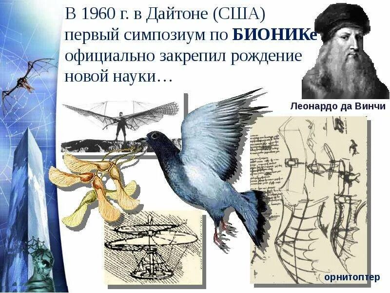 Примеры бионики в биологии