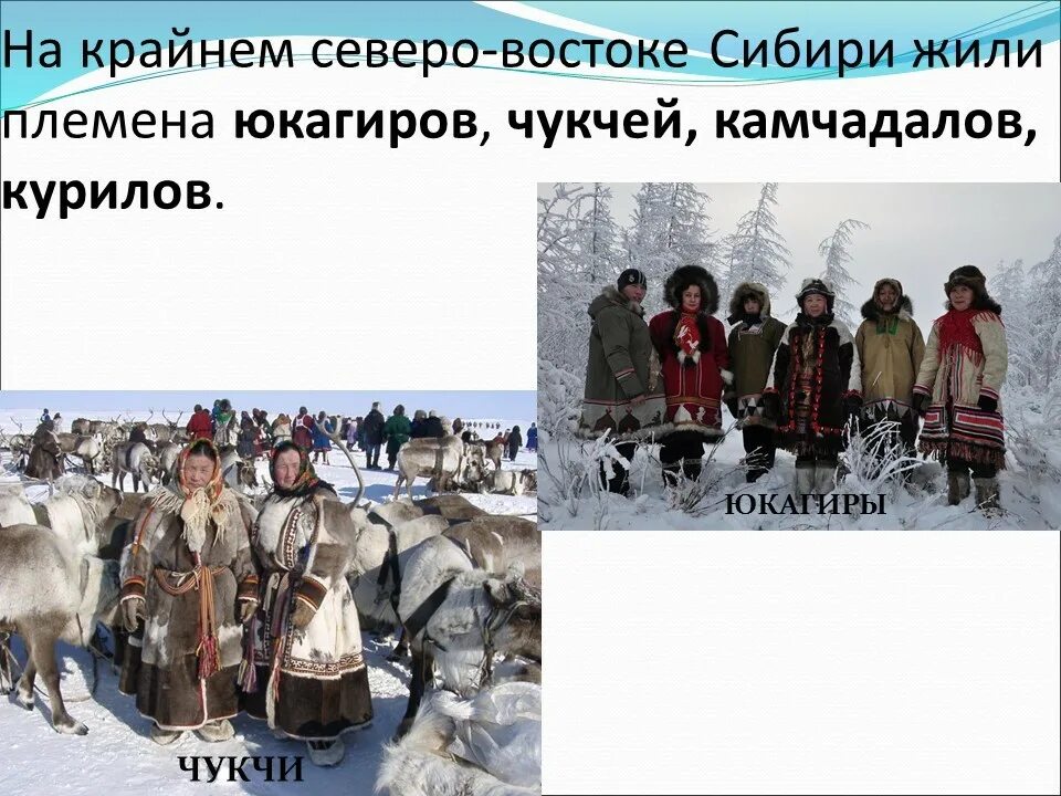 Коренные народы сибири 16 17 века. Ненцы, нганасаны, долганы, энцы. Народы сибири и дальнего востока в 18 веке презентация 8 класс. Народы севера ханты и манси. Ханты народы сибири.