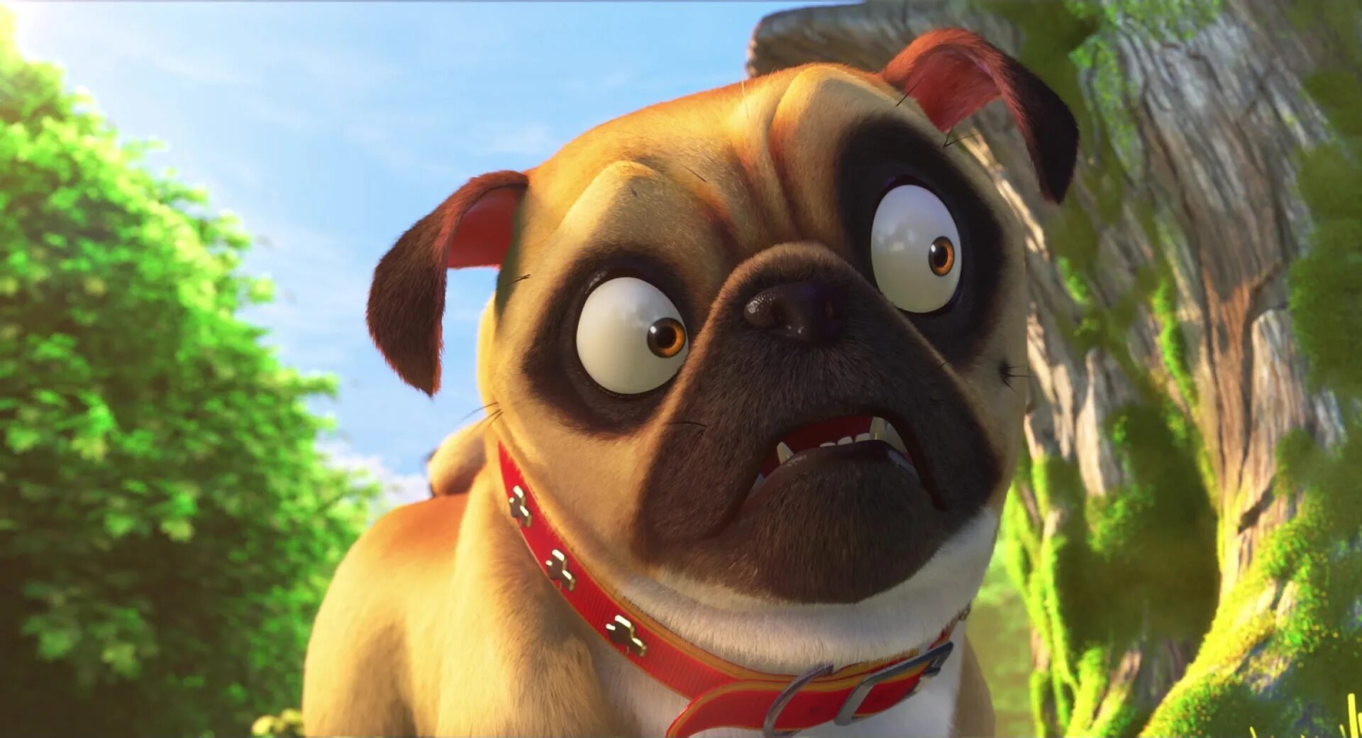 Спайк том и джерри. Как зовут собаку в том и. Спайк из том и джерри. Шишка на голове у тома и джерри. Как зовут собаку в том и.