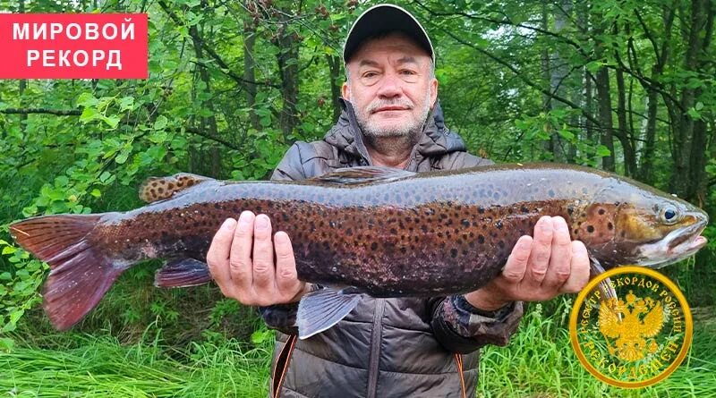 Большой ленок. Крупный Ленок. Самый большой Ленок пойманный в России. Гигантский Ленок. Самый большой Ленок в мире.