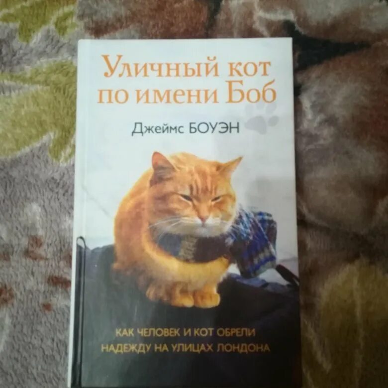Читать боб. Кот по имени боб книга. уличный кот по имени боб книга. мир глазами кота боба 2 часть.
