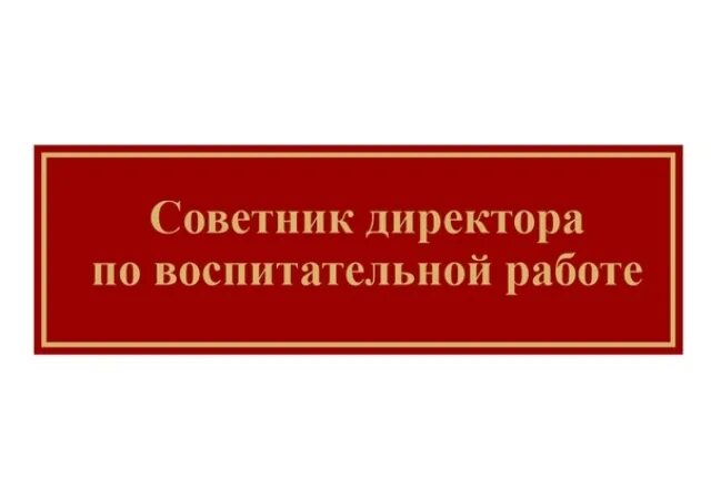 Советник директора по воспитательной работе. Советник директора по воспитанию. Советник директора по воспитательной работе в школе. Советник по воспитанию в школе логотип.