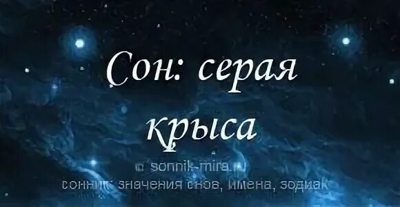 Крыса сон значение. Сонник-толкование снов к чему снится крыса большая. сонник к чему снятся белые крысы. крыса сонник толкование. к чему снится крыса женщине большая.