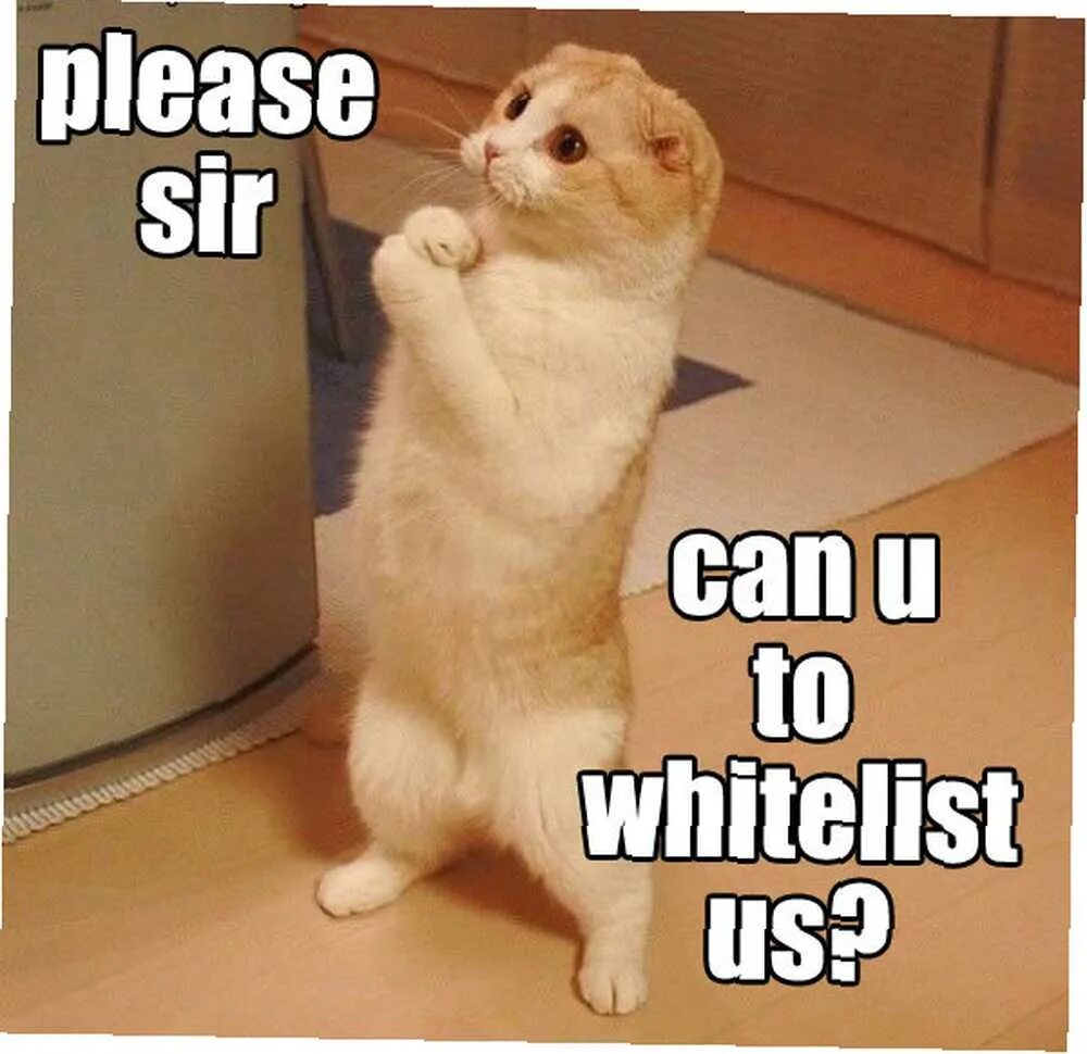 Please tell me is this. Котик please be Ovation. Вайтлист. Еще чуточку Мем. Oh please.