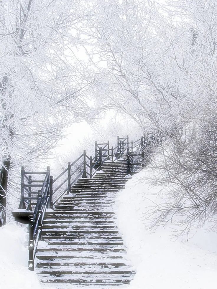Зимние ступени. Лестница зимой. Лестница в снегу. Снег на ступеньках. Зимний ступеньки.