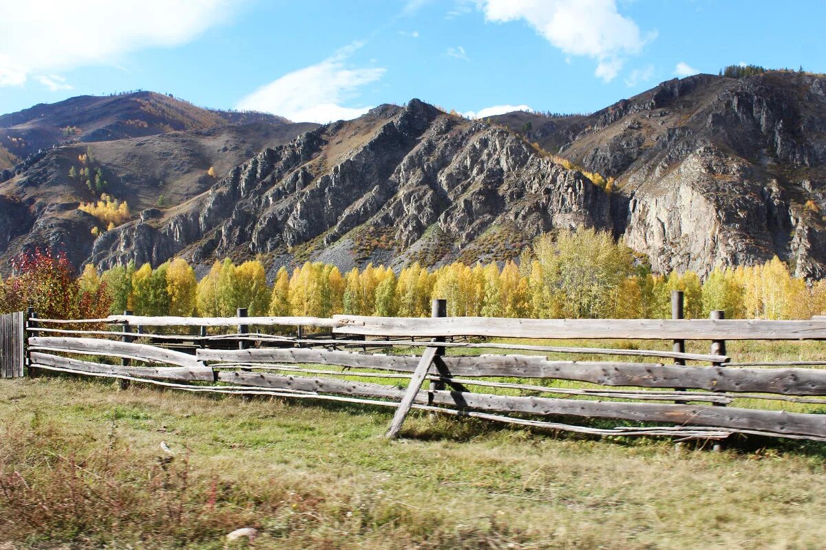 поселок тыва