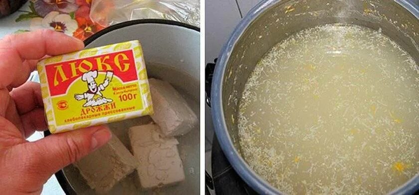 Как развести дрожжи для томатов